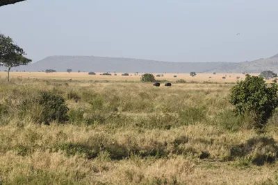 DSC_3813 (Large).JPG